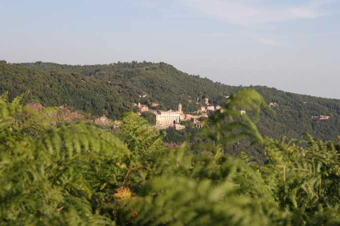 Biodiversit dei Castelli Romani:Le Piagge(Nemi)